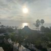 mikemcmanus489